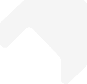 Staynex Logo